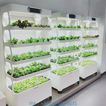 Hydroponic Automated Grow Syst - огляд і ціна Zigbee Coordinator Stick